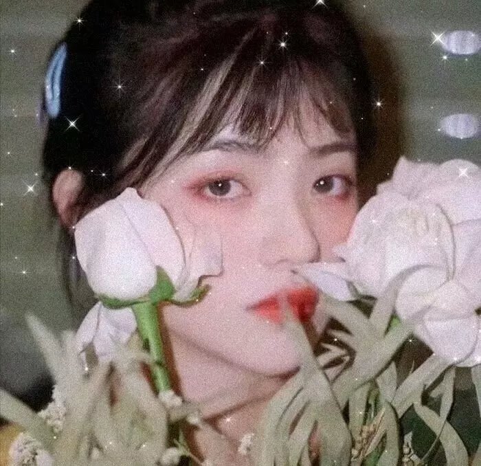 敌对同谋